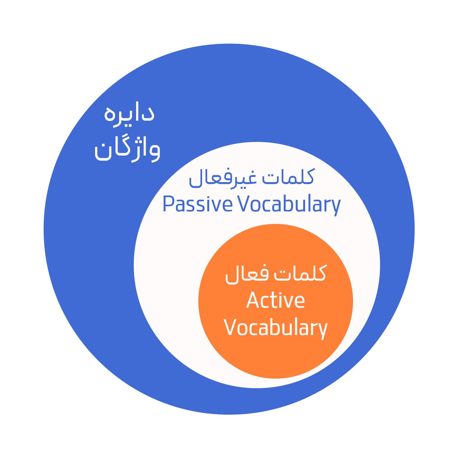 واژگان فعال (active vocabulary) و واژگان غیرفعال (passive vocabulary) چیست؟